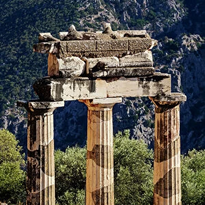 Tholos of Delphi, detailed view, Temple of Athena Pronaia, Delphi, UNESCO World Heritage Site, Phocis, Greece, Europe