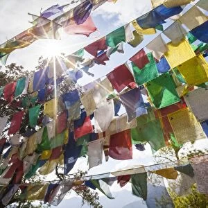 The Tibetan prayer flags made of colored cloth that are often hung on the top of