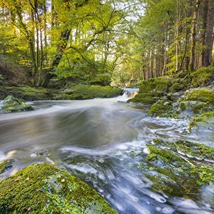 Tollymore Forest Park, Shimna River, County Down, Ulster, Northern Ireland