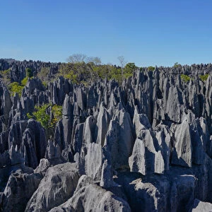 Tsingy de Bemaraha National Park, UNESCO World Heritage Site, Melaky Region, Western
