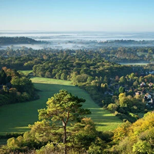 View south from Colley Hill on a misty autumn morning, Reigate, Surrey Hills
