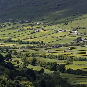 View of stone barns and traditional meadows, Gunnerside, Swaledale, Yorkshire Dales National Park