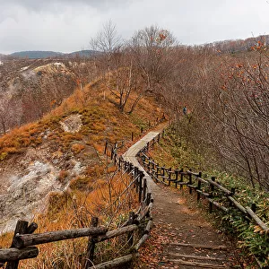 Walking path leading through autumal forest with steaming volcanic valley of Noboribetsu on the left, Hokkaido, Japan, Asia