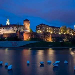 Wawel Hill Castle and Cathedral, Vistula River with swans, illuminated at night, Krakow