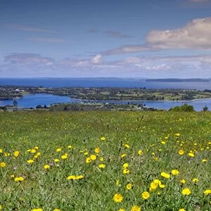 Wild meadowlands on Chiloe Island, Patagonia, Chile, South America