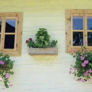 Windows of one of unique village architecture houses