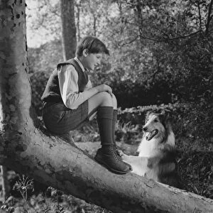 Roddy McDowall in Fred M Willcoxs Lassie Come Home (1943)