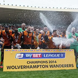 Wolverhampton Wanderers Football Club: Season 2013-14