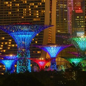 Coloured Supertree Grove, Gardens by the Bay, Singapore
