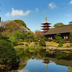 Pagoda and oriental garden at Senso-Ji Temple in Asakusa in Tokyo, Japan