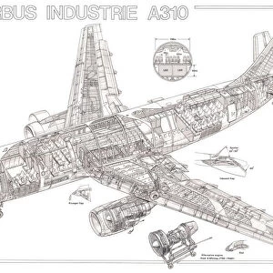Airbus Industrie A310 Cutaway Drawing