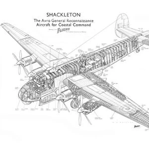 Avro Shackleton Mk1 Cutaway Drawing
