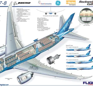 Boeing 787-8 Micro Cutaway Poster