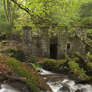 Abandoned 19th Century gunpowder works at Kennall Vale, now a wooded nature reserve