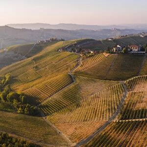 Aerial view over the hills of Le Langhe wine region in autumn, Piedmont, Italy