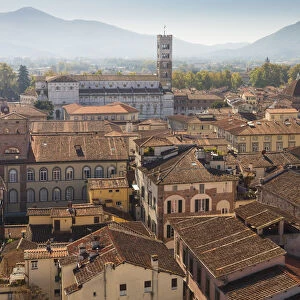 Aerial view of the walled city and Lucca Cathedral, Lucca, Tuscany, Italy