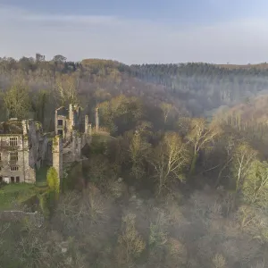 Aerial vista of the ruins of Berry Pomeroy Castle at dawn, South Hams, Devon, England