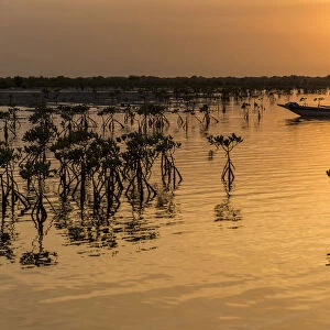 Africa, Guinea Bissau. Sunset over a wetland