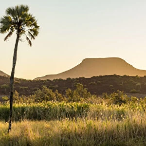 Africa, Namibia, Palmwag. Sunset