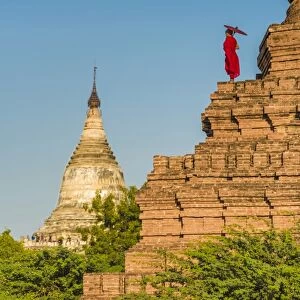 Bagan, Mandalay region, Myanmar (Burma). A young monk watching the Shwesandaw pagoda