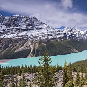 Beautiful Peyto Lake in the Canadian Rockies, Banff National Park, Alberta, Canada