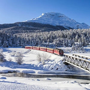 Bernina Express train in the snowy landscape, Pontresina, Engadine, canton of Graubunden
