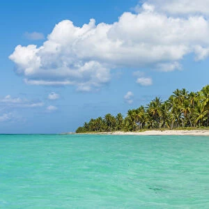 Canto de la Playa, Saona Island, East National Park (Parque Nacional del Este), Dominican