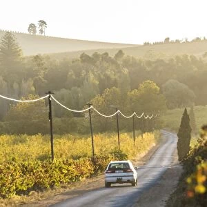 Car & Road through Winelands & vineyards, nr Franschoek, Western Cape Province, South