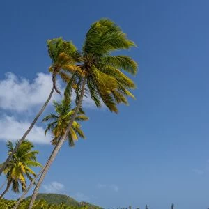 Caribbean, Antigua, Morris Bay, Morris Bay Beach