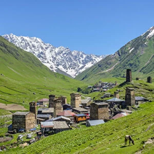 Chazhashi village, Ushguli, Samegrelo-Zemo Svaneti region, Georgia