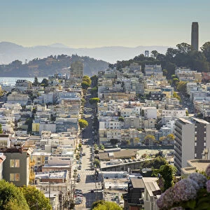 Cityscape view of Telegraph Hill, Coit Tower and North Beach from the top of Lombard