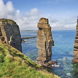 Cliff landscape at Noss Head - United Kingdom, Scotland, Caithness, Noss Head