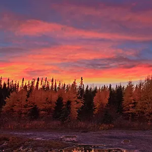 Clouds at sunset over the boreal forest Near Longlac, Ontario, Canada