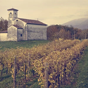 countryside church among vineyards, Cison di Valmarino, Treviso, Veneto, Italy