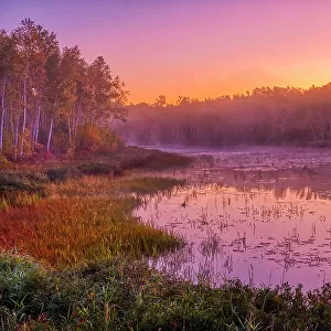 Dawn light on marsh adjacent Lake Laurentian. Lake Laurentian Conservation Area. Sudbury, Ontario, Canada
