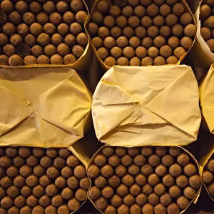 Dominican Republic, Santo Domingo, Zona Colonial, Cohiba cigars stored at the Boutique