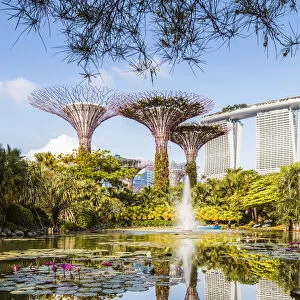 Singapore Heritage Sites Collection: Singapore Botanical Gardens