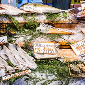 Fish at local Tsukiji fish market, Tokyo, Japan