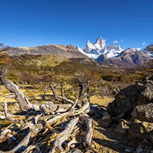 Fitz Roy mountain against sky viewed from trail in autumn, Los Glaciares National Park