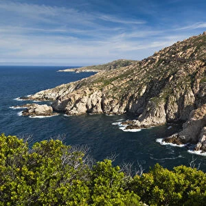 France, Corsica, Haute-Corse Department, La Balagne Region, Calvi-area, Anse de Recisa