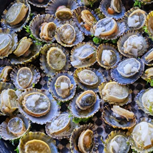 Grilled limpets with garlic, a delicacy. Moledo do Minho, Portugal