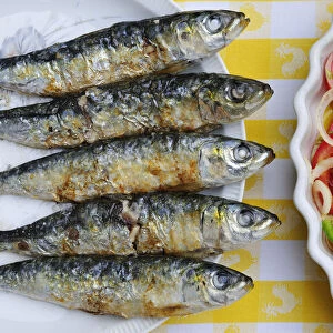 Grilled sardines, a delicacy. Setubal, Portugal
