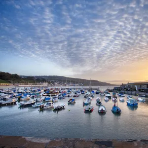 The Harbour at Lyme Regis, Dorset, England