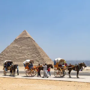 Horse and carridges at the Pyramids of Giza, Giza, Cairo, Egypt