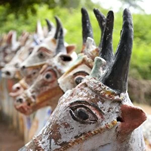 India, Chettinad. Terracotta horses lined up by the Ayyanar Temple. Although they have horns