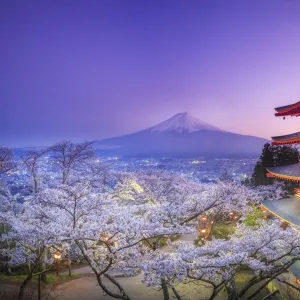 Japan, Yamanashi Prefecture, Fuji-Yoshida, Chureito Pagoda, Mt Fuji and Cherry Blossoms