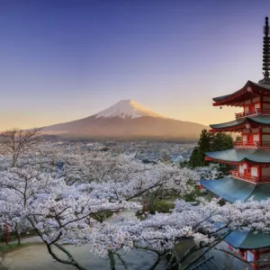 Japan, Yamanashi Prefecture, Fuji-Yoshida, Chureito Pagoda, Mt Fuji and Cherry Blossoms