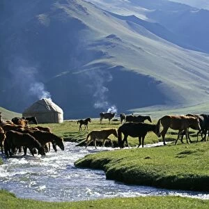 Kyrgyzstan, Tash Rabat Valley