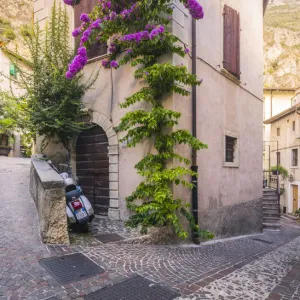 Limone sul Garda, Garda Lake, Brescia Province, Lombardy, Italy