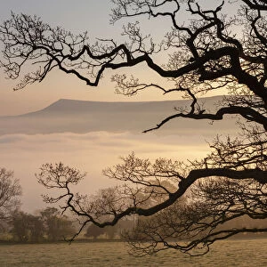 Misty dawn looking towards Mynydd Llangorse in the Brecon Beacons National Park, Powys